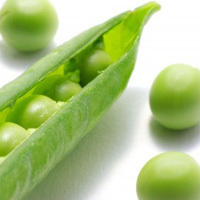 豆知識.jpg
